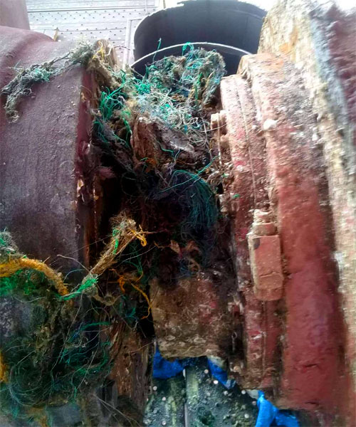 Emergency Dry Docks Due to Fishnet Entanglement
