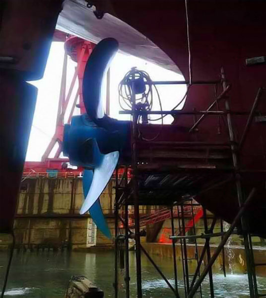 Emergency Dry Docks Due to Fishnet Entanglement