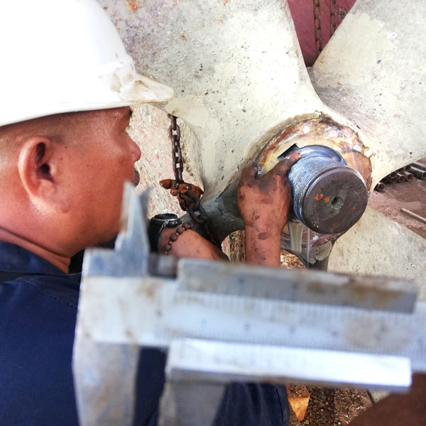 Check Reference Mark of Tailshaft to Propeller Blade