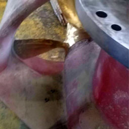 A Glance At The Dismantled Parts