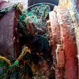 Emergency Dry Docks Due to Fishnet Entanglement