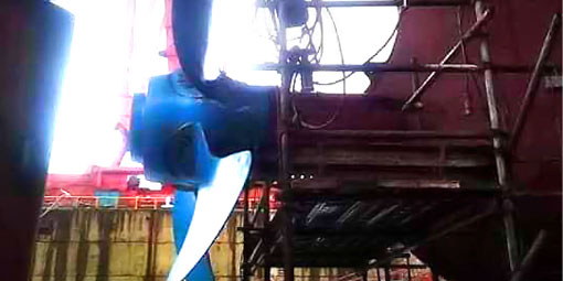 Emergency Dry Docks Due to Fishnet Entanglement