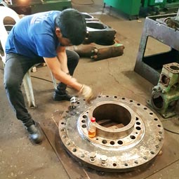 Calibration of Crank Pin Ring Berges Propulsion